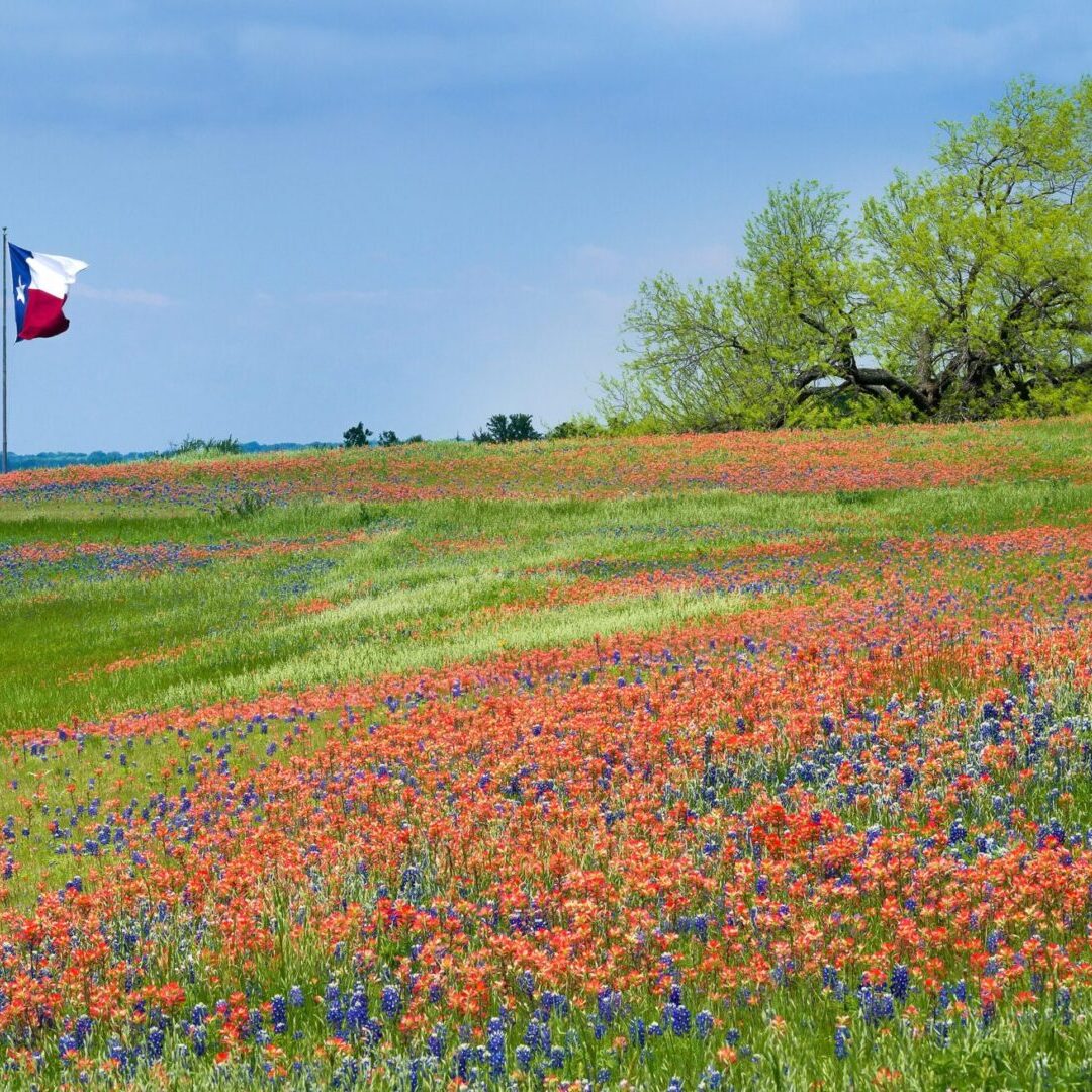 Texas AmRide